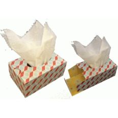 tissue box