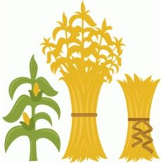 corn stalk set