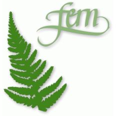 fern