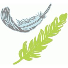 feathers set