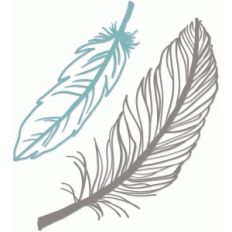 feathers set