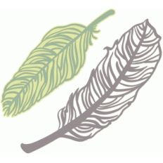 feathers set