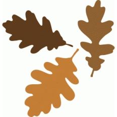 oak leaf set