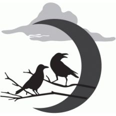 crow night sky