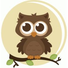 owl in moon