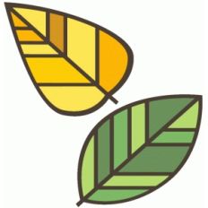 stained glass leaves
