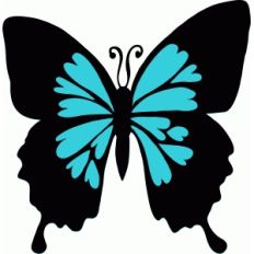 heart butterfly
