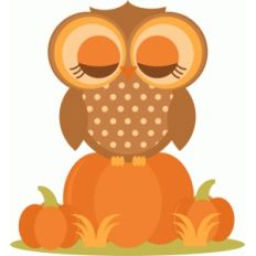 owl in pumpkins