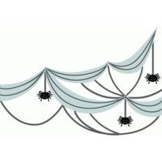 spider web swag