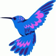 hummingbird