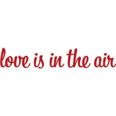 love is in the air phrase