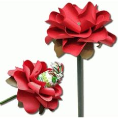 3d sucker and pencil flower