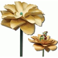 3d sucker and pencil flower