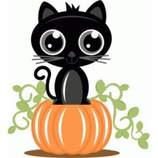black cat on pumpkin
