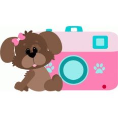 dog sitting with camera