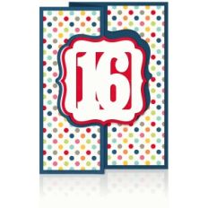 birthday flip/swing card age 16