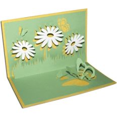 pop-up spring card
