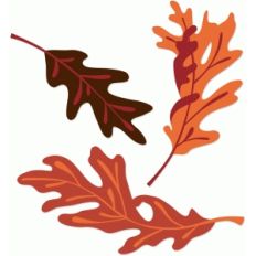 oak leaves set