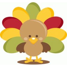 turkey owl