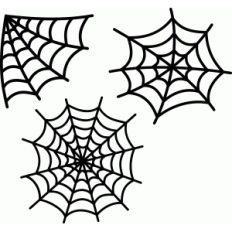 3 spider webs