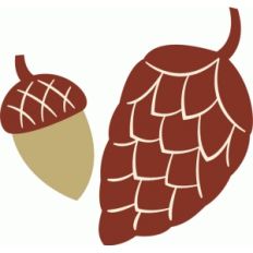 acorn and pinecone