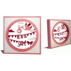 shadow box (baby girl)