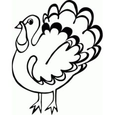 turkey