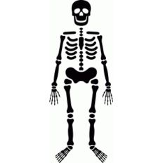 skeleton