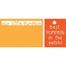 little pumpkin