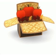 a2 fall pumpkin box card