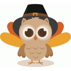 thanksgiving owl boy