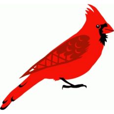 cardinal