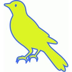 bird