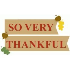 so very thankful banner