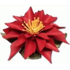 3d poinsettia flower