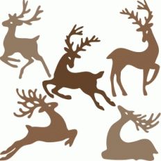 reindeer family