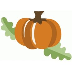 cute pumpkin