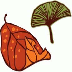 autumn leaves