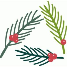pine needle branches