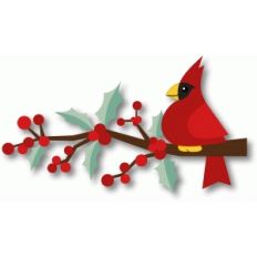 winter cardinal