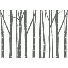 birch trees