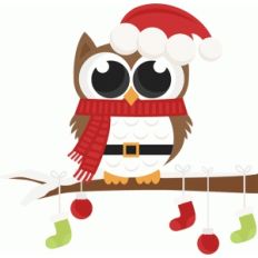 santa owl