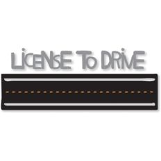 'license to drive' road