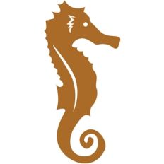 sea horse