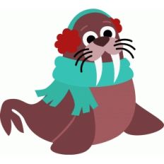 winter walrus
