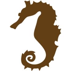 seahorse