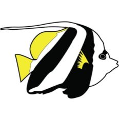 tropical fish