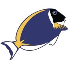 tropical fish