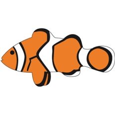 tropical fish
