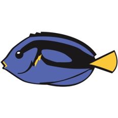tropical fish